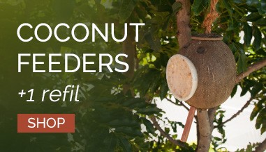 Coconut Feeders